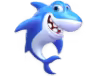 Câu cá